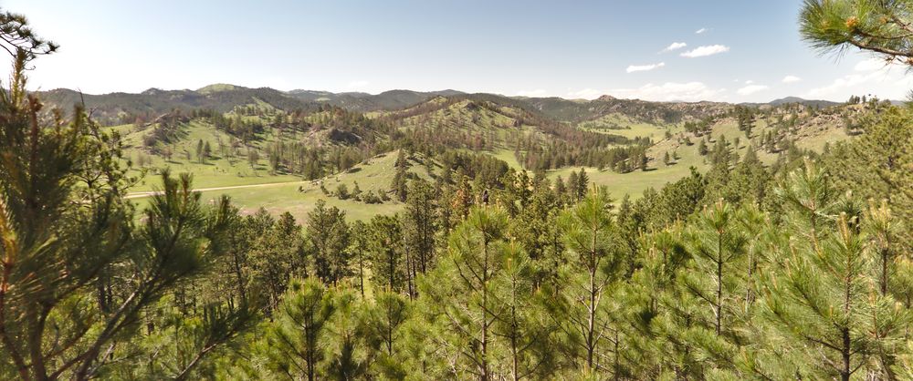 Black Hills NF (Mount Rushmore NMe, Jewel Cave NM, Wind Cave NP)