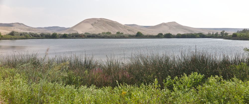 Jacks Creek BLM (Bruneau Dunes SP)