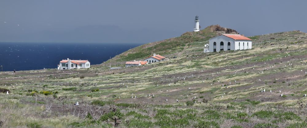 Emma Wood SB (Channel Islands NP)