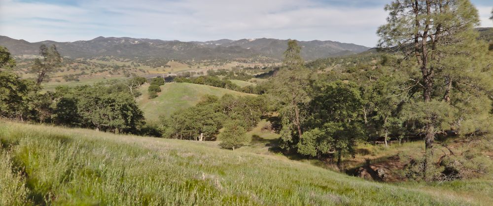 Laguna Mountain RA (Pinnacles NP)