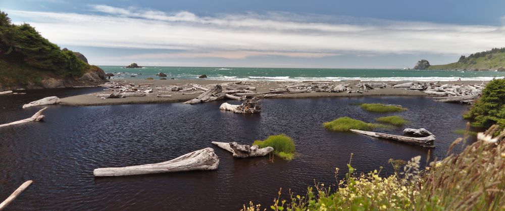 Crescent City (Redwood NP)