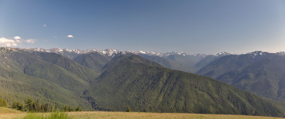 Blyn (Olympic NP)