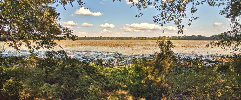 Arkansas Post NMe Arkansas Post NMe